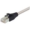 屏蔽6类线缆，RJ45/RJ45，低烟无卤外被，1英尺（0.3米）的图片